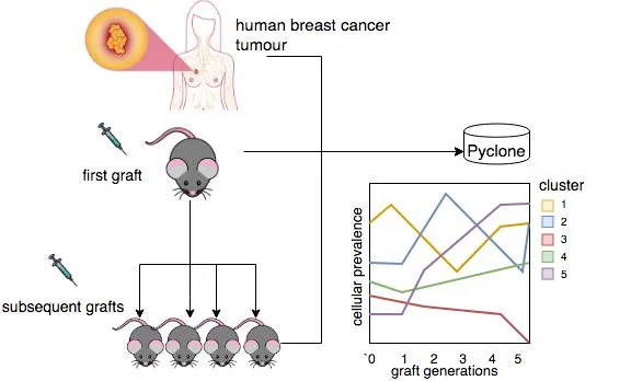 Illustration: What Are the Ongoing Challenges in Breast Cancer Care?